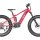  Electric fatbikes