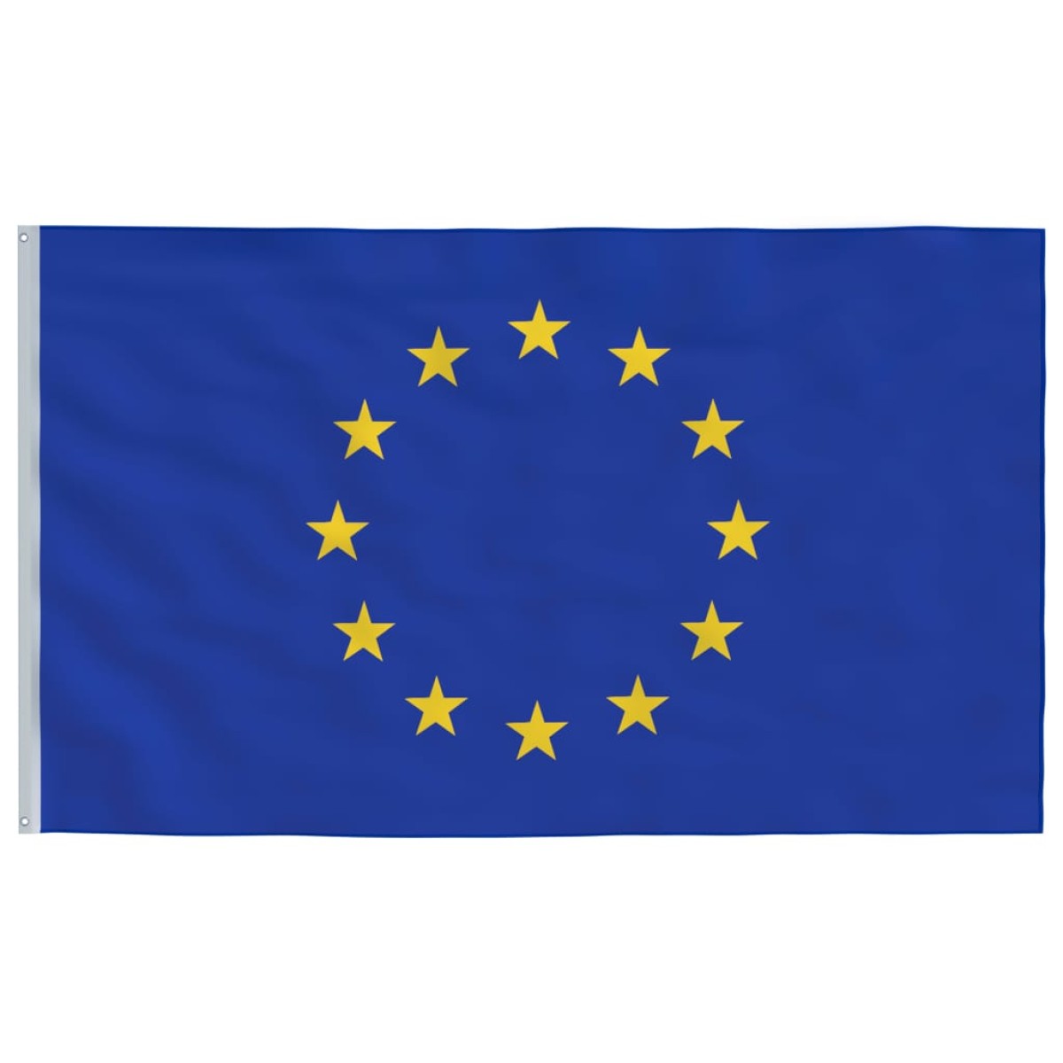 vidaXL Σημαία Ευρώπης 90 x 150 εκ.