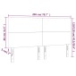 vidaXL Κεφαλάρι Κρεβατιού LED Μαύρο 200x5x118/128 εκ