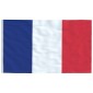 vidaXL Γαλλική Σημαία και Ιστός 6,23 μ. από Αλουμίνιο
