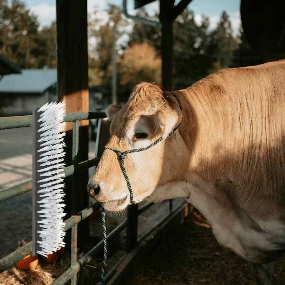 vidaXL Βούρτσες Βοοειδών Μαύρο και Λευκό 50 x 10 x 6.5 εκ.