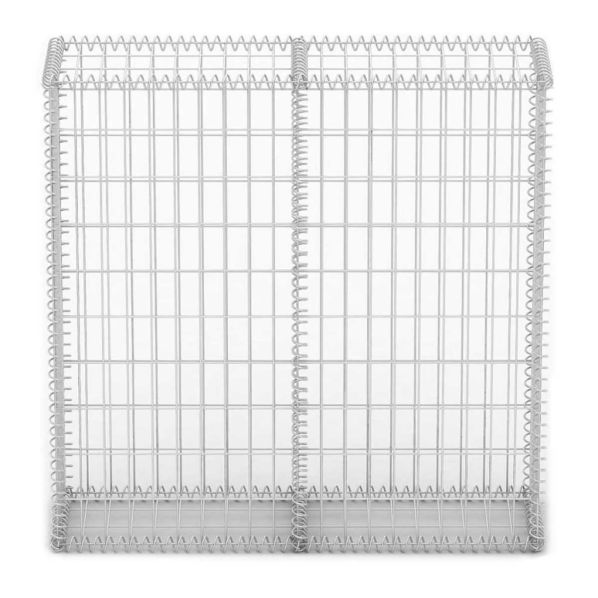 vidaXL Συρματοκιβώτιο 100 x 100 x 30 εκ. Γαλβανισμένο Σύρμα με Καπάκια