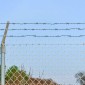 Αγκαθωτό Συρματόπλεγμα Πράσινο Ρολό 100 m