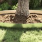 Μπορντούρες Γκαζόν Εύκαμπτες Σετ των 5 100x14 εκ. από Γαλβανιζέ Ατσάλι