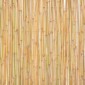 vidaXL Καλαμωτή Περίφραξης 300 x 100 εκ. από Μπαμπού