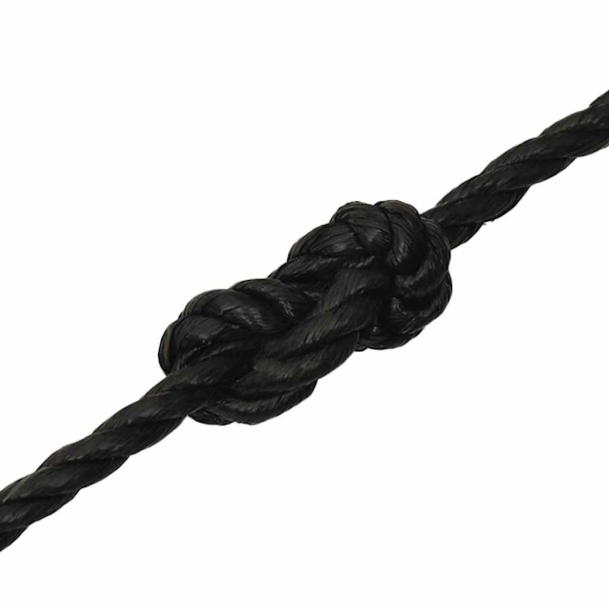 vidaXL Σχοινί Εργασίας Μαύρο 10 χιλ. 50 μ. από Πολυπροπυλένιο