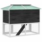 vidaXL Κλουβί Ζώων / Κουνελιών Δύο Ορόφων Ξύλινο