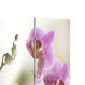 vidaXL Διαχωριστικό Δωματίου Πτυσσόμενο Λουλούδι 217 x 170 εκ.