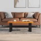 vidaXL Τραπεζάκι Σαλονιού 100 x 50 εκ. από Ξύλο Teak και Ρητίνη