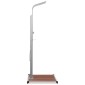 vidaXL Ντουζιέρα με Βάση Εξωτερικού Χώρου από WPC / Ανοξείδωτο Ατσάλι