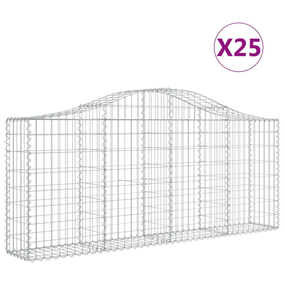 vidaXL Συρματοκιβώτια Τοξωτά 25 τεμ. 200x30x80/100 εκ. Γαλβαν. Ατσάλι