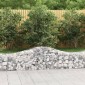 vidaXL Συρματοκιβώτια Τοξωτά 40 τεμ. 200x50x40/60 εκ. Γαλβαν. Ατσάλι
