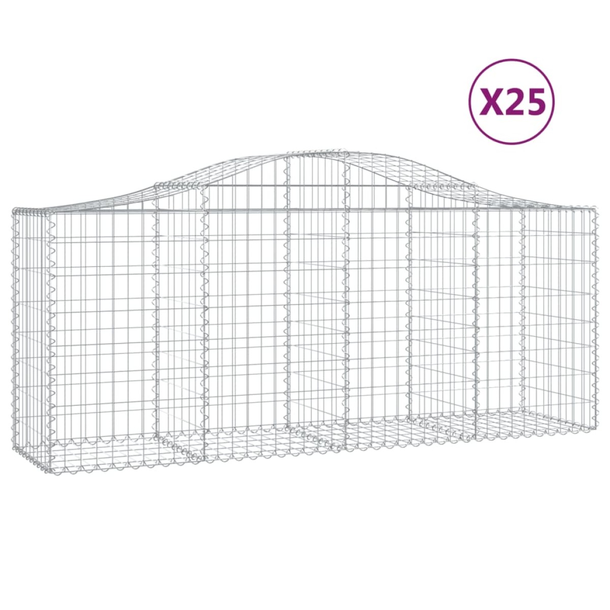 vidaXL Συρματοκιβώτια Τοξωτά 25 τεμ. 200x50x80/100 εκ. Γαλβαν. Ατσάλι