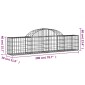 vidaXL Συρματοκιβώτια Τοξωτά 2 τεμ. 200x30x40/60 εκ. Γαλβαν. Ατσάλι