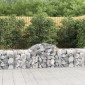 vidaXL Συρματοκιβώτια Τοξωτά 40 τεμ. 200x50x60/80 εκ. Γαλβαν. Ατσάλι