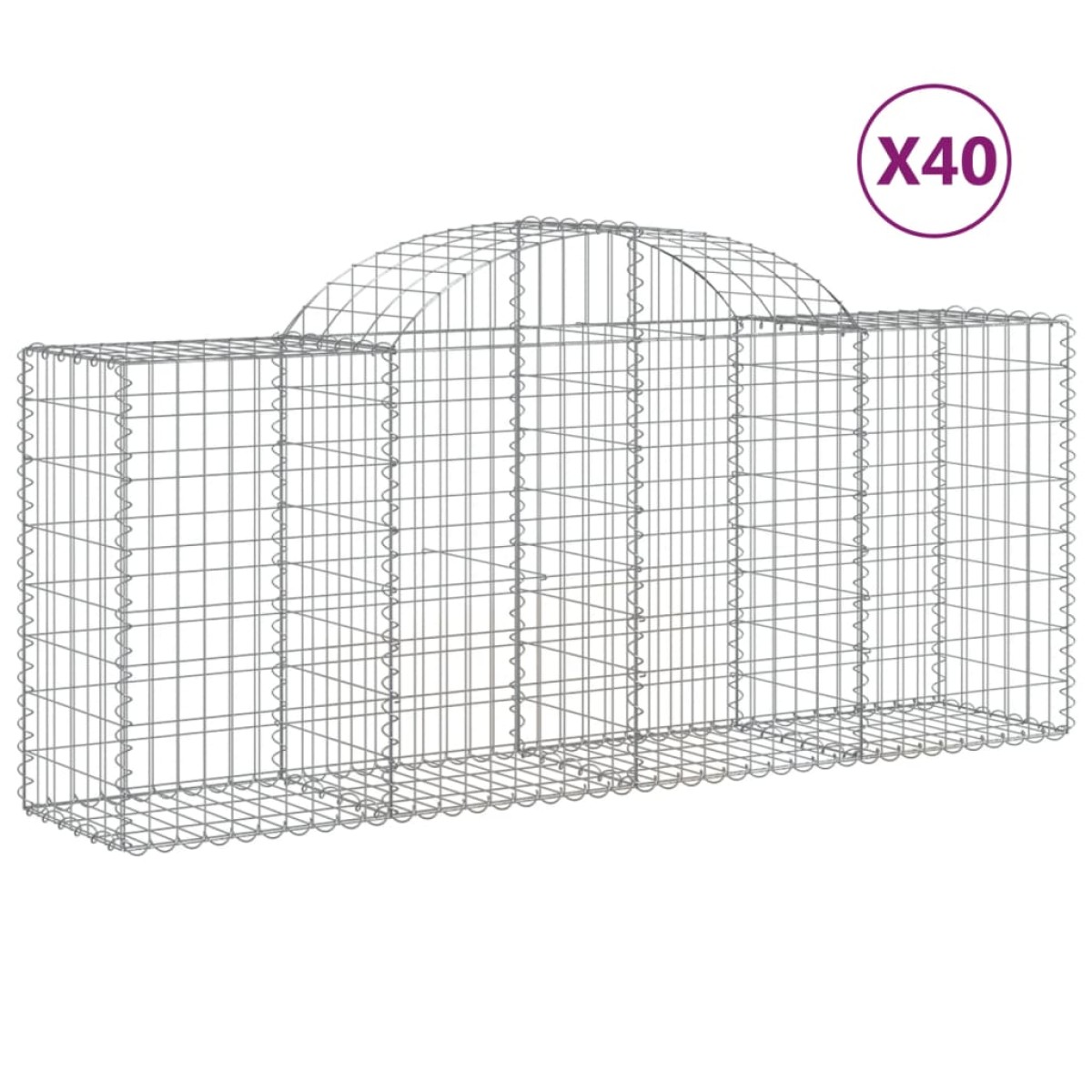 vidaXL Συρματοκιβώτια Τοξωτά 40 τεμ. 200x50x80/100 εκ. Γαλβαν. Ατσάλι