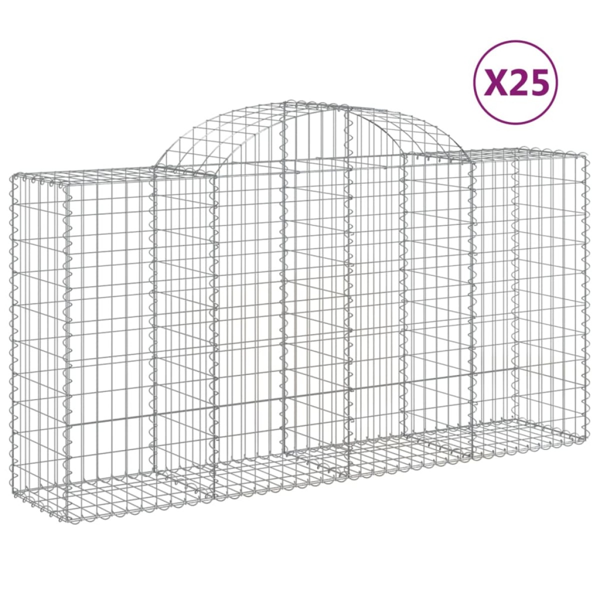 vidaXL Συρματοκιβώτια Τοξωτά 25 τεμ. 200x50x100/120 εκ. Γαλβαν. Ατσάλι