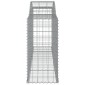 vidaXL Συρματοκιβώτια Τοξωτά 2 τεμ. 300x50x100/120 εκ. Γαλβαν. Ατσάλι