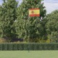 vidaXL Ισπανική Σημαία και Ιστός 6,23 μ. από Αλουμίνιο