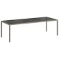vidaXL Τραπέζι Κήπου Γκρι 250x100x75 εκ. Ψημένο Γυαλί/Συνθετικό Ρατάν