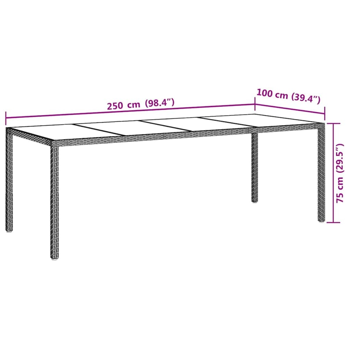 vidaXL Τραπέζι Κήπου Μπεζ 250x100x75 εκ. Ψημένο Γυαλί/Συνθετικό Ρατάν