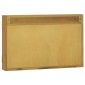 vidaXL Ντουλάπι Καθρέφτη 60 x 10 x 40 εκ. από Μασίφ Ξύλο Teak