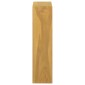 vidaXL Ντουλάπι Καθρέφτη 30 x 10 x 40 εκ. από Μασίφ Ξύλο Teak