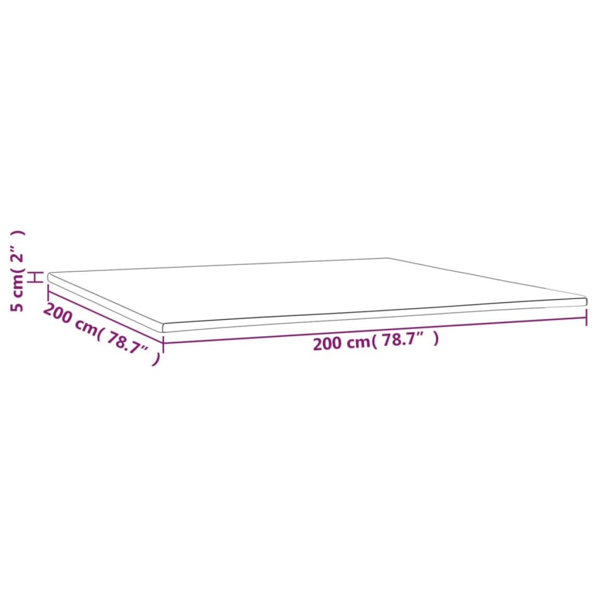 vidaXL Ανώστρωμα 200x200x5 εκ.