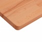 vidaXL Πάγκος Μπάνιου 100x60x2,5 εκ. από Μασίφ Ξύλο Οξιάς