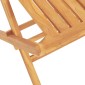 vidaXL Καρέκλες Κήπου Πτυσσόμενες 2 τεμ. 47x47x89 εκ. Μασίφ Ξύλο Teak