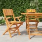 vidaXL Καρέκλες Κήπου Πτυσσόμενες 2 τεμ. 55x61x90 εκ. Μασίφ Ξύλο Teak