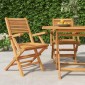 vidaXL Καρέκλες Κήπου Πτυσσόμενες 2 τεμ. 55x62x90 εκ. Μασίφ Ξύλο Teak