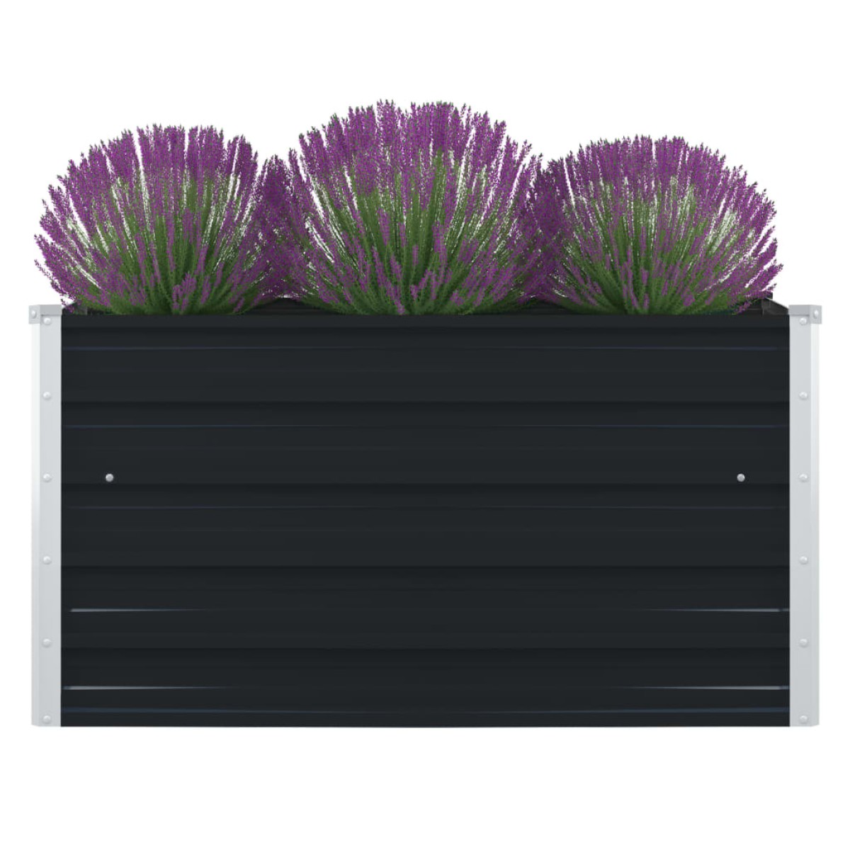 vidaXL Ζαρντινιέρα Ψηλή Ανθρακί 100x100x45 εκ. Γαλβανισμένος Χάλυβας