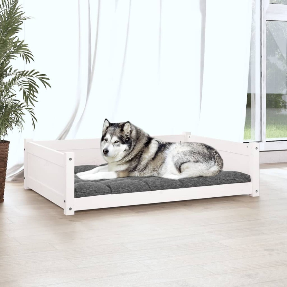 vidaXL Κρεβάτι Σκύλου άσπρο 105,5x75,5x28 εκ. από Μασίφ Ξύλο Πεύκου
