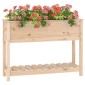 vidaXL Ζαρντινιέρα με Ράφι 111,5 x 34,5 x 81 εκ. Μασίφ Ξύλο Πεύκου