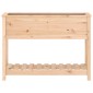vidaXL Ζαρντινιέρα με Ράφι 111,5 x 34,5 x 81 εκ. Μασίφ Ξύλο Πεύκου