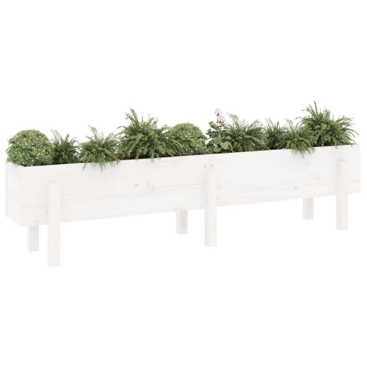 vidaXL Ζαρντινιέρα Υπερυψωμένη 160 x 30 x 38 εκ. από Μασίφ Ξύλο Πεύκου