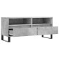 vidaXL Έπιπλο Τηλεόρασης Γκρι Σκυρ. 100 x 34,5 x 44,5 εκ. Επεξ. Ξύλο
