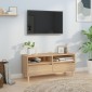 vidaXL Έπιπλο Τηλεόρασης Sonoma Δρυς 100 x 34,5 x 44,5 εκ. Επεξ. Ξύλο